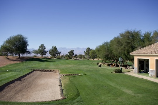 Professional short game area