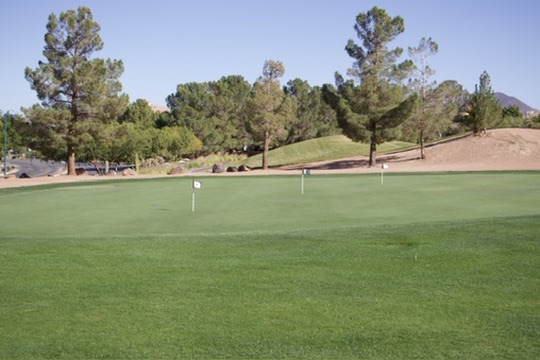 Pristine putting green with mountains